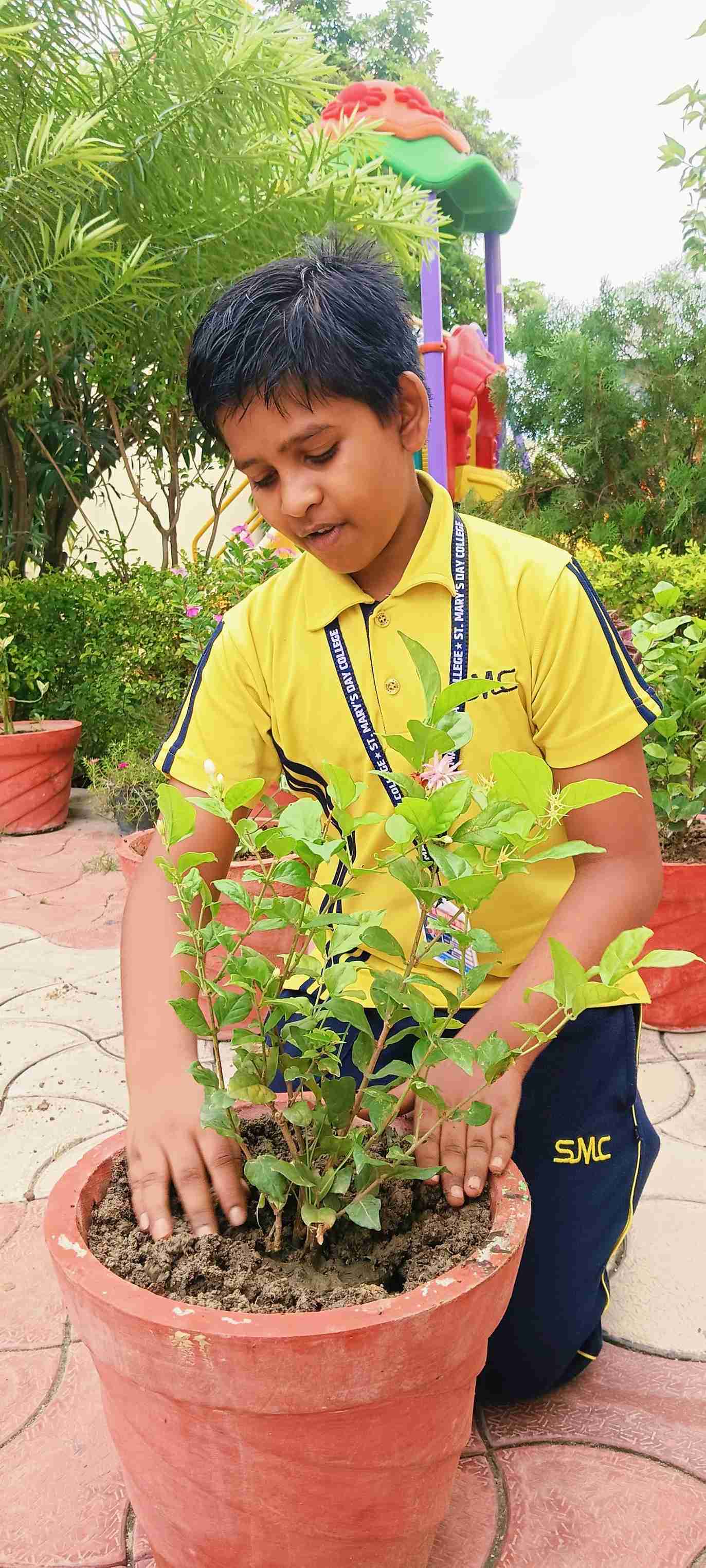 Ek Ped Maa Ke Naam 2025